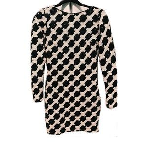 Long Sleeve Mini Desss